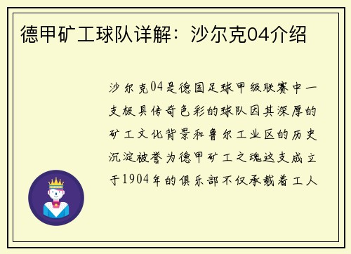 德甲矿工球队详解：沙尔克04介绍