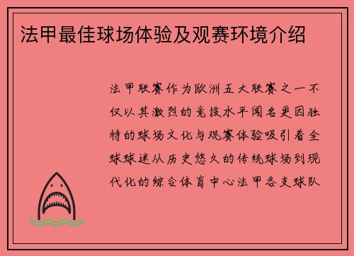 法甲最佳球场体验及观赛环境介绍
